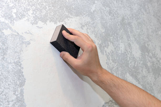 Best Industrial Mold Remediation  in North Sioux City, SD