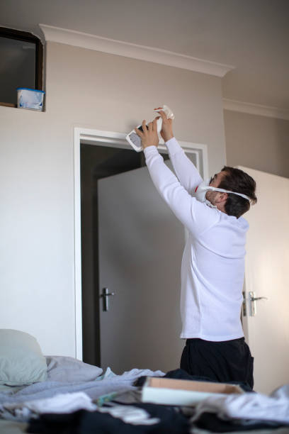 Environmental Consulting for Mold Prevention in North Sioux City, SD