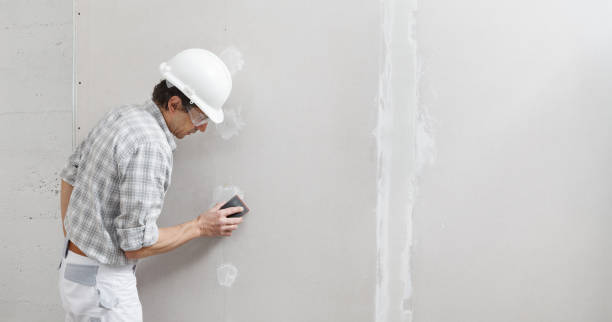 Best Post-Construction Mold Inspection  in North Sioux City, SD