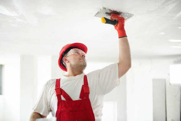Best Forensic Mold Investigation  in North Sioux City, SD
