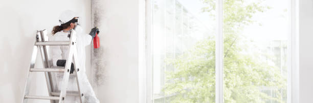 Best Mold Removal for HVAC Installations  in North Sioux City, SD