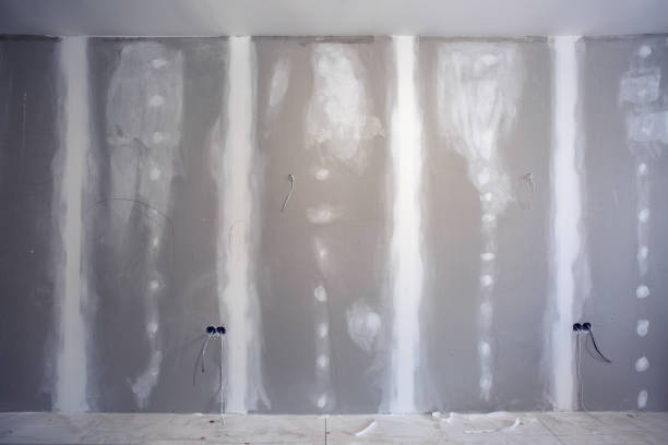 Mold Odor Removal Services in North Sioux City, SD